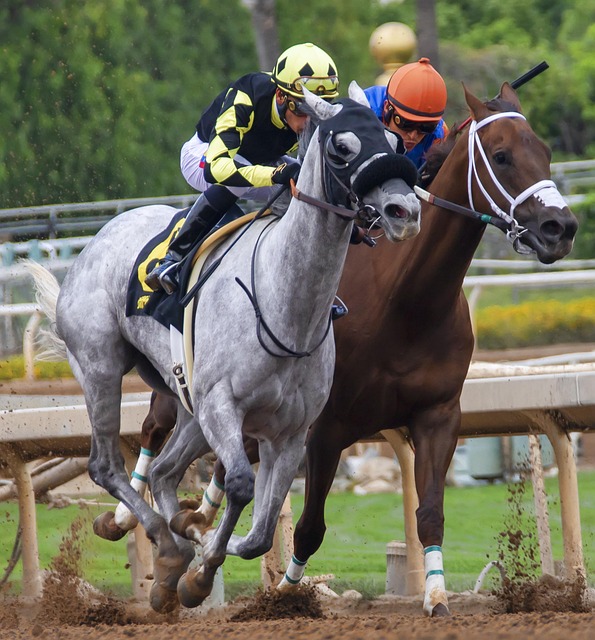 这一举措不 这一举措不